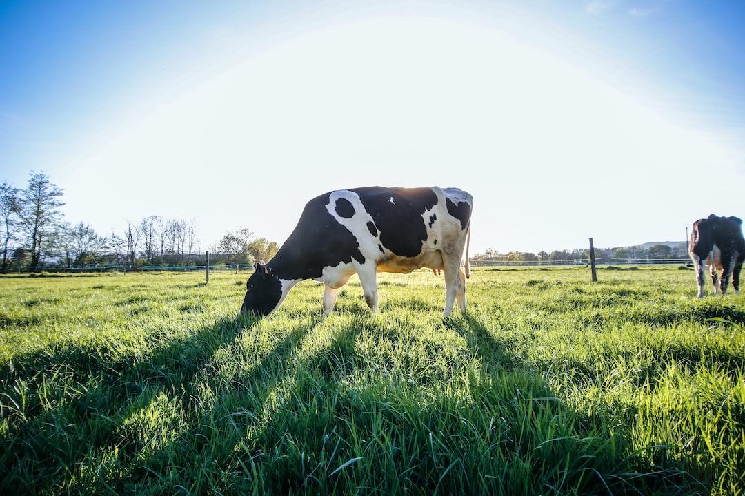 Study: CA Dairy Sector on Track to Reach “Climate Neutrality” by 2030